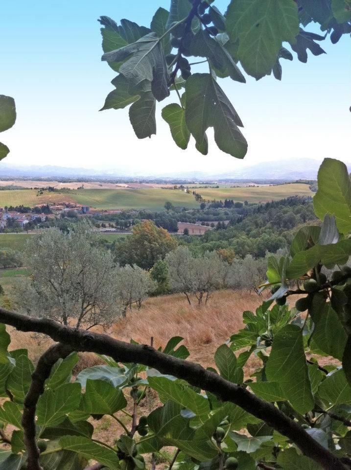 Вілла Agriturismo Il Palazzaccio Galliano Екстер'єр фото