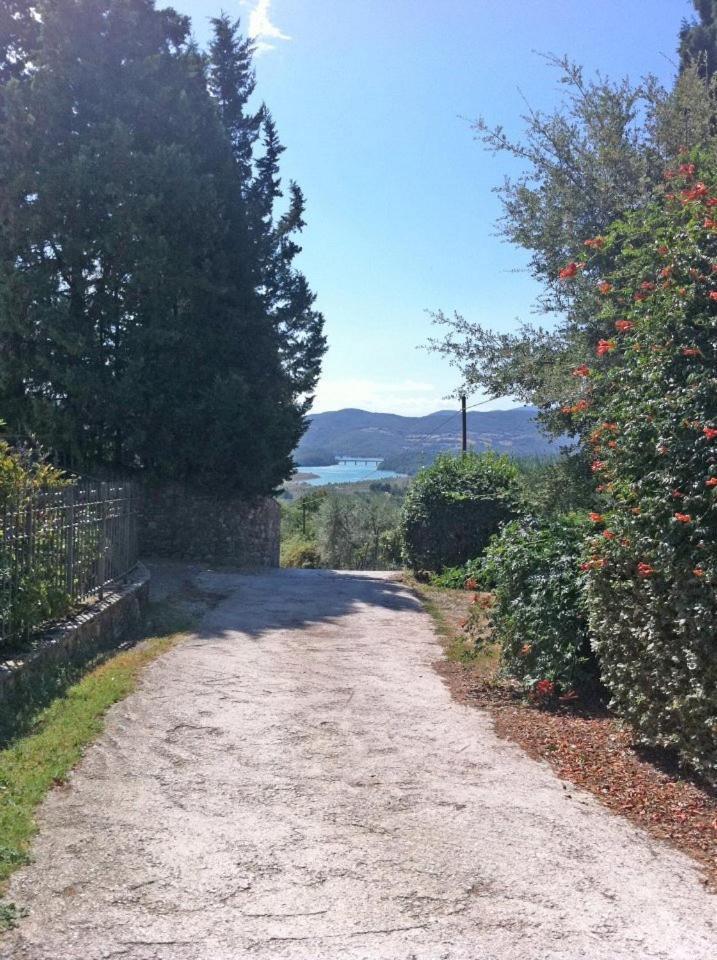 Вілла Agriturismo Il Palazzaccio Galliano Екстер'єр фото