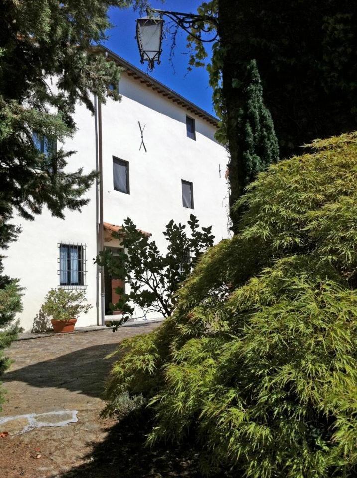 Вілла Agriturismo Il Palazzaccio Galliano Екстер'єр фото